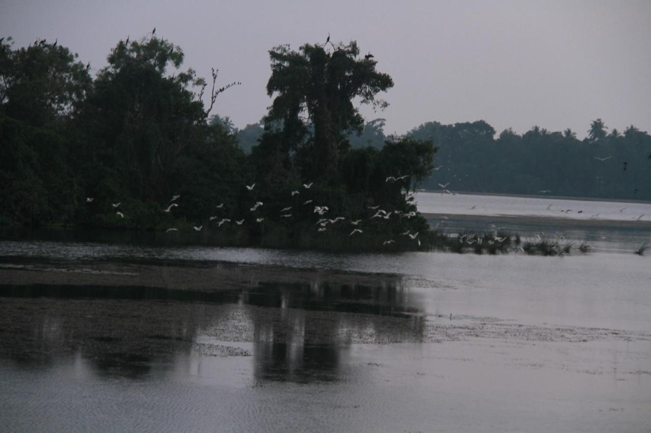 Sanu Lagoon Resort & Spa 坦加拉 外观 照片